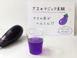 福島　玲子_2026-08-01_16-02-12_89